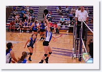 Set 1 * (117 Slides)